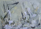 lightscape 1, framed (2025)